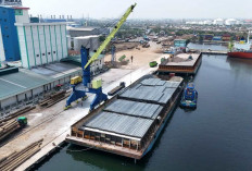 Semester I 2026, Kinerja Arus Barang PT Pelindo Multi Terminal Branch Tanjung Emas Meningkat 13%