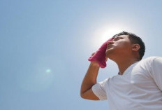 Wilayah Ini Diprediksi Lebih Panas di Awal Kemarau 2026 Versi BMKG