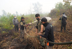 36 Titik Panas Terdeteksi di Kalbar, Ketapang Masih Mendominasi
