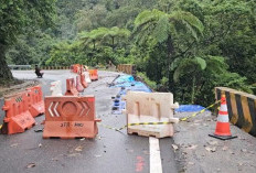 Kendalikan Banjir Jabodetabek, Kementerian PU Percepat Pembangunan Tanggul Ciliwung