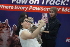 KAI Logistik Raih Penghargaan Marketeers Digital Marketing Heroes 2025