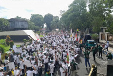 Holding Perkebunan Nusantara Kawal Penyelesaian Konflik Ijen demi Aset Negara dan Keselamatan Pekerja