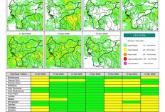 BMKG Kalbar Rilis Potensi Hujan Harian 10–16 April 2026