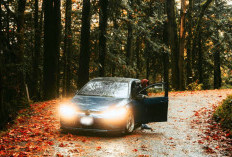 6 Tanda Kamu Butuh Mobil Baru, Apa Saja?