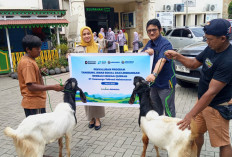 Wujud Kepedulian Sosial, PT Jasamarga Tollroad Maintenance Salurkan Bantuan Hewan Kurban Senilai Rp480 Juta 