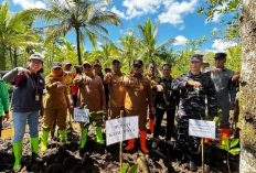 Restorasi Mangrove Batu Ampar, Pemkab Kubu Raya Siapkan Dukungan untuk Warga