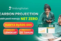 LindungiHutan Luncurkan “Carbon Projection”, Fitur Perhitungan Serapan Karbon Jangka Panjang