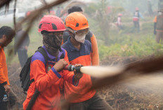 Penanganan Karhutla Kalbar Berlanjut, Satgas Darat dan Udara Dikerahkan di Sejumlah Wilayah
