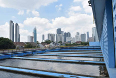 Abu Vulkanik Sampai Jakarta, Warga Tak Perlu Cemas Soal Kualitas Air PAM JAYA
