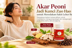 Akar Peoni Jadi Kunci Zuo Hao Shi untuk Meredakan Sakit Leher Belakang
