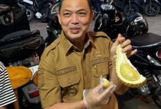 Gubernur Ria Norsan Banggakan Durian Jemongko, Rasanya Kalahkan Musang King