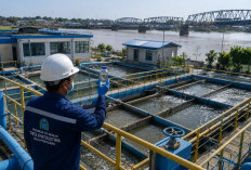 PDAM Pontianak Rilis Update Kadar Garam Air Hari Ini, Salinitas IPA Nipah Kuning Capai 1.121 mg/l