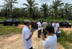 Hilirisasi Pangan Nasional, Holding Perkebunan Nusantara Melalui PalmCo Siapkan Lahan Peternakan Ayam Terinteg