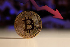 Bitcoin Turun di Bawah US$98.000 untuk Ketiga Kalinya! Sinyal Bahaya?