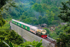 Dukung Aktivitas Pariwisata Bali, Pengiriman KAI Logistik Terus Bertumbuh