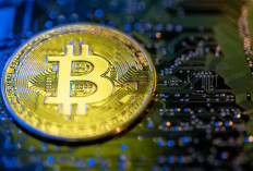 Transaksi Aset Kripto Indonesia Menurun di Tengah Munculnya Sinyal Pemulihan Bitcoin