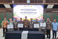 PTPN Group Akselerasi Swasembada Bawang Putih Nasional