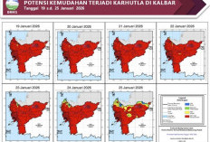 BMKG Kalbar Rilis Peringatan Potensi Karhutla 19–25 Januari 2026