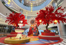 Blossom Symphony: Perayaan Imlek Penuh Harmoni di Hublife