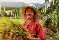 IDX, BRIDS, dan IIX Perkuat Ekosistem Obligasi Tematik untuk Mengembangkan Potensi Pasar Senilai Rp7.800 T