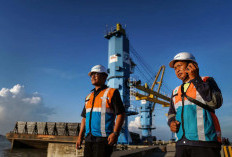 Pelindo Multi Terminal Catat Kinerja Positif pada Semester I 2026