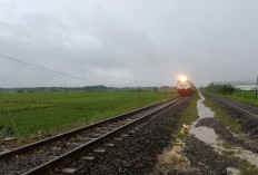 Jalur KA Tegowanu - Brumbung Aman Dilalui Usai Genangan Surut dan Dilakukan Penanganan Tim Daop 4, Perjalanan 