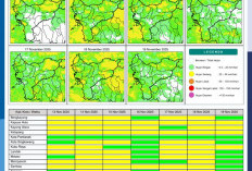 BMKG Rilis Potensi Hujan Harian di Kalimantan Barat 13–19 November 2025