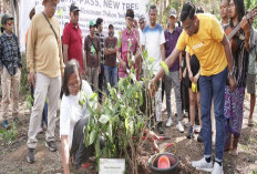 Peringati Hari Menanam Pohon, Linknet (LINK) Tutup Program “New Homepass, New Tree”