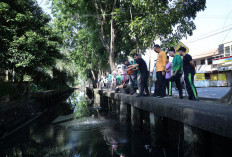 DLH Kota Pontianak Tabur Eco Enzym di Parit, Targetkan Air Lebih Bersih