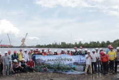 Menjaga Mangrove, Mengamankan Masa Depan: SUCOFINDO Dukung Konservasi Pesisir di Kalimantan Selatan