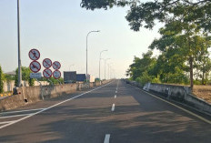 Fisik Rampung 100%, Pelindo Sinergi Lokaseva Group Kawal Persiapan Pra-Operasi Fly Over Teluk Lamong 