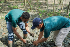 Perusahaan Tambang Pelat Merah Wajib Perkuat Operasional Bertanggung Jawab