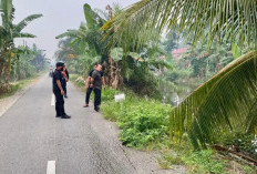 Jalan Punggur-Parit Sarim Bergeser, Bupati Kubu Raya Minta Pengawasan Truk ODOL Diperketat