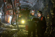 Kontribusi Freeport ke Negara Sentuh Rp 187 Triliun