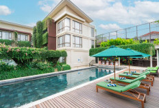 Swiss-Belhotel Rainforest: Oase Tropis di Tengah Dinamika Sunset Road