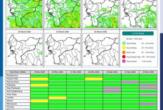 BMKG Kalbar Rilis Potensi Hujan Harian 19–25 Maret 2026