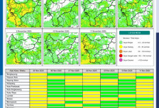 BMKG Rilis Potensi Hujan Harian di Kalimantan Barat 5–11 November 2025