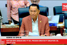 Proyek Dragon Grup MIND ID, DPR Yakin Indonesia Masuk Ekosistem Baterai Global