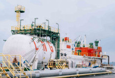 Pelindo Multi Terminal Dukung Ketahanan Energi Bali melalui Penataan Terminal LNG Benoa