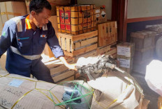 Dukung Mobilitas di Kampung Halaman, Pengiriman Sepeda Motor Meningkat Jelang Mudik