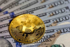 Dinamika Suku Bunga AS 2026, Tantangan dan Peluang Baru bagi Investor aset Kripto Indonesia