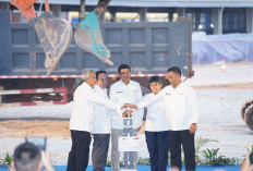 Danantara Indonesia Serentak Resmikan 6 Proyek Hilirisasi Fase-I dengan Total Nilai Investasi Hingga US$ 7 Mil
