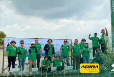 Adira Finance Tanam 350 Mangrove di Dusun Tangkolak Karawang