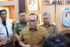 Pemkab Kubu Raya Hentikan Pembakaran Arang Bakau Demi Kelestarian Mangrove