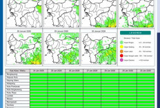 BMKG Kalbar Rilis Potensi Hujan Harian 24–30 Januari 2026