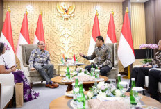 Kedutaan Besar India Dorong Impor Urea dari Indonesia untuk Perkuat Ketahanan Pangan