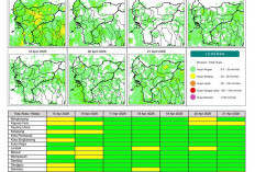 BMKG Kalbar Rilis Potensi Hujan Harian 15–21 April 2026