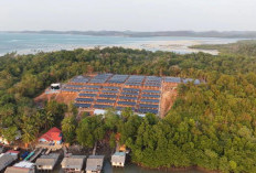 Di hadapan Presiden RI, Pertamina NRE Pamerkan PLTS Pulau Sembur Dukung Program PLTS 100 GWp