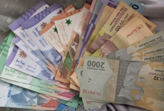 UMP 2026 di Kalimantan Resmi Ditetapkan, Ini Daftar Upah Minimum Lima Provinsi