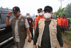 Tinjau Karhutla di Kubu Raya, Gubernur Kalbar Ria Norsan Sebut Tinggal 50 Titik Api
